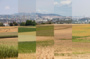 Paysages immuables ?