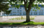 Ré-invente ta cité (à partir du CP)