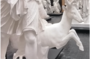 Atelier - Les animaux au musée
