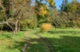 Mon jardin à l’automne