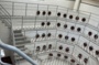 Enseigner la médecine à Lyon... toute une histoire !