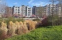 La Vieille Mer, à la découverte d'une rivière enterrée sous Saint-Denis