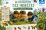 Atelier de découverte des insectes