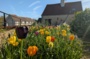Regards sur l'accessibilité : visite et atelier de photographie sensorielle