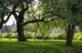L’arbre, l’oiseau et le jardinier