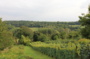 Tous en route ! Sur le chemin des vignes à Acy