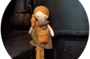 Le voyage de Lucie