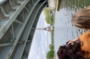 Les secrets des ponts de Paris