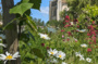 Découvrir l'abbaye et ses jardins