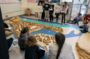 Le Pollet en maquette : adaptation d'un quartier aux transformations du port