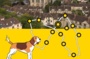 A la découverte de Mantes-la-Jolie (livrets-jeux en autonomie)