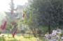 Jardins à la française